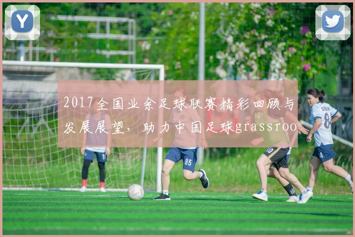 2017全国业余足球联赛精彩回顾与发展展望，助力中国足球grassroots运动蓬勃发展