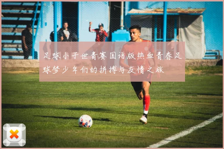 足球小子世青赛国语版热血青春足球梦少年们的拼搏与友情之旅
