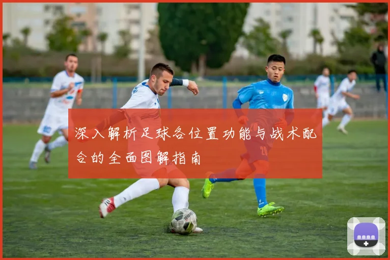 深入解析足球各位置功能与战术配合的全面图解指南