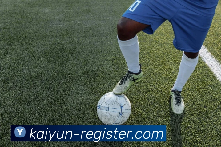 开云体育入口平台生态图